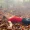 Yoga-Nidra-Deep-Relaxation-1-e1740568208250